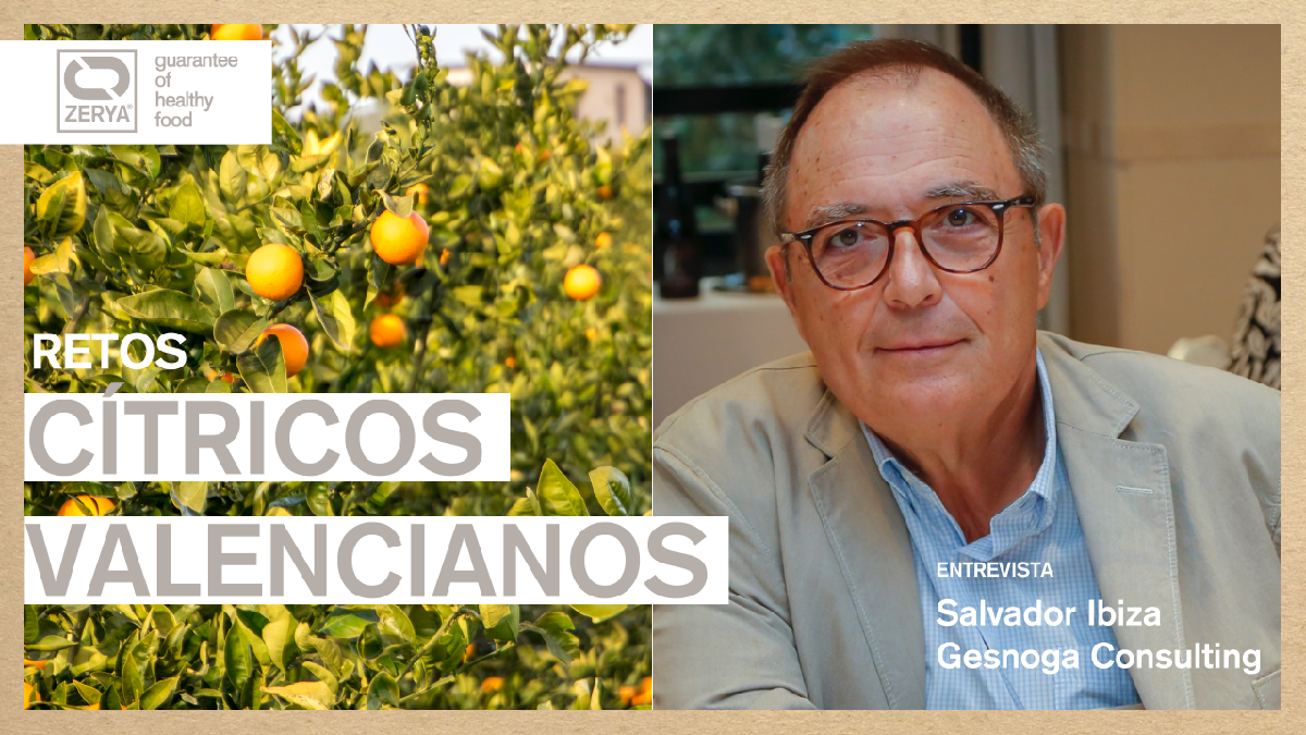 Salvador Gesnoga Retos Cítricos Valencianos